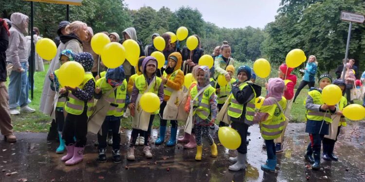Posadzili tysiące cebulek żonkili