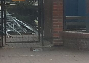 Czas na jesienną deratyzację