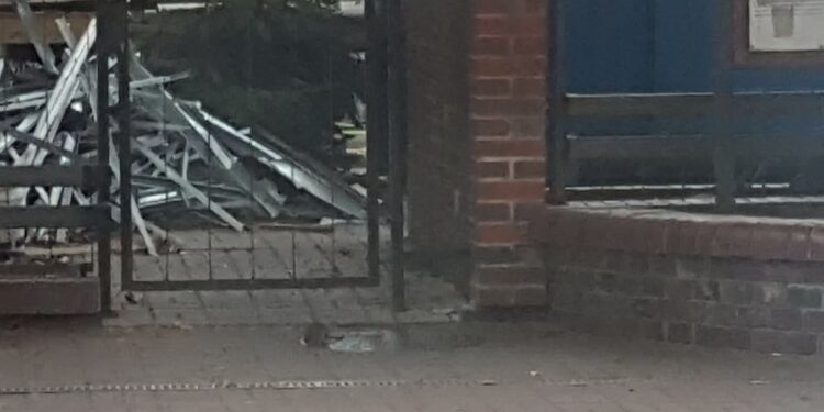 Czas na jesienną deratyzację