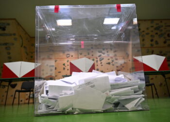 Sondażowe wyniki wyborów w okręgu lubuskim