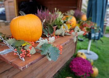 Ugotują zupę z dyni i dyniowy bigos. Przyjdź na ryneczek przy ul. Jerzego