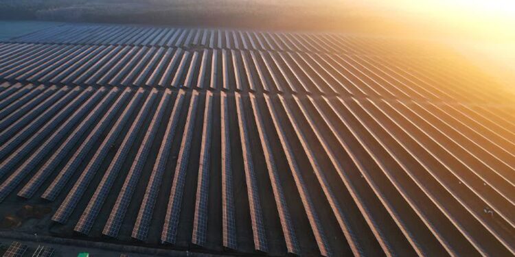 W Górzycy i Żabicach powstały farmy fotowoltaiczne o łącznej mocy 40 MW