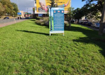 Pomnik Polskich Dzieci Wojny powstanie w Gorzowie