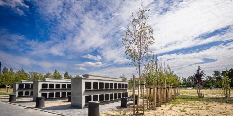 Monitoring i Aleja Zasłużonych. Będą kolejne zmiany na cmentarzu