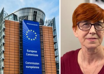 E. Rafalska: szykuje nam się nowa Unia – sfederalizowane superaństwo europejskie
