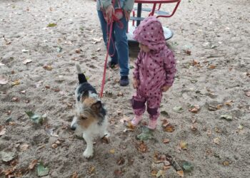 Dziś Światowy Dzień Zwierząt