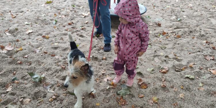 Dziś Światowy Dzień Zwierząt