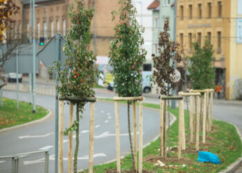 Fot. B.Nowosielski, UM