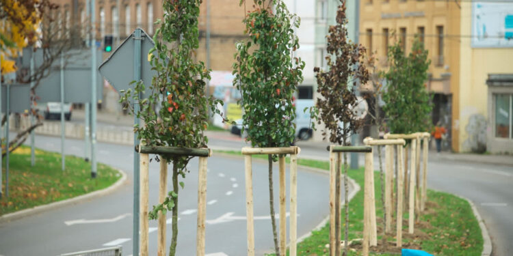 Fot. B.Nowosielski, UM