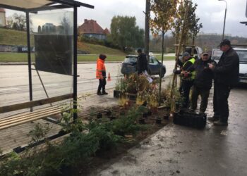 Powstają kolejne zielone przystanki