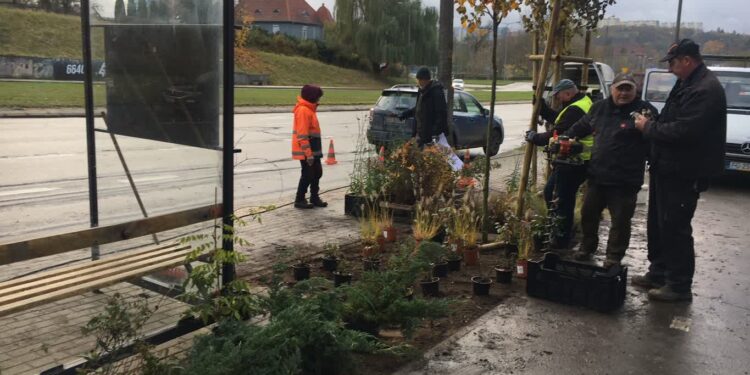 Powstają kolejne zielone przystanki