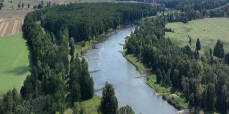 W okolicach Klępska powstał nowy rezerwat przyrody