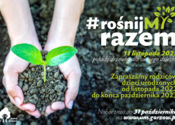 Duże zainteresowanie akcją #RośnijMY razem