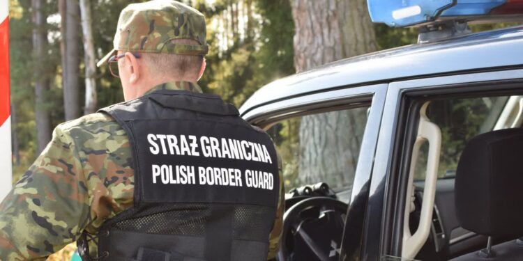 Pogranicznicy zatrzymał nielegalnych migrantów i Rumuna z fałszywym prawem jazdy