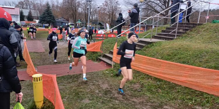 MP w przełajach: Lubuszanie bez medalu