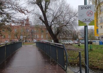 Nie wjeżdżaj na mostek w parku!