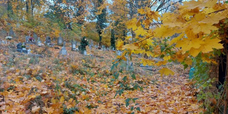 Uprzątnięto składowisko śmieci na cmentarzu przy Warszawskiej