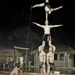 Fot: facebook.com/OcelotLegnica