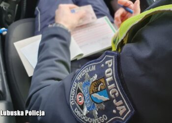 2 tys. zł mandatu i 14 punktów karnych dla pirata z Nowego Miasteczka