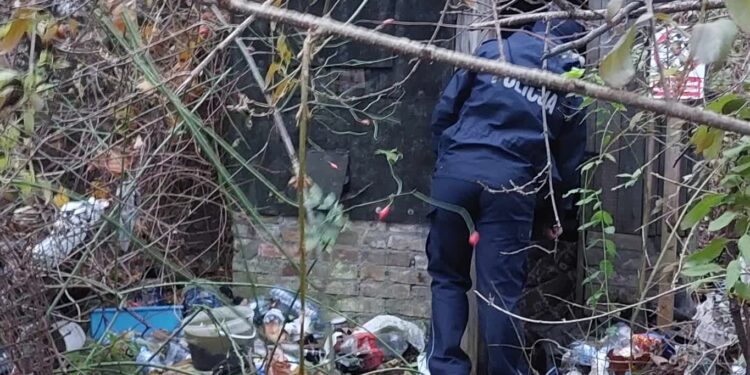 Od rana szukali bezdomnych