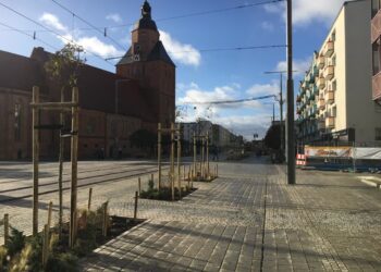 Więcej zieleni na ul. Sikorskiego (Galeria zdjęć)