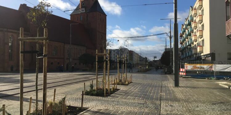 Więcej zieleni na ul. Sikorskiego (Galeria zdjęć)
