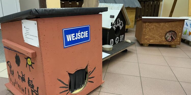 Oryginalne budki dla bezdomnych kotów