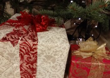 Gorzowskie listy do Mikołaja