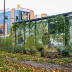 Fot. J.Wojtanowski, UM