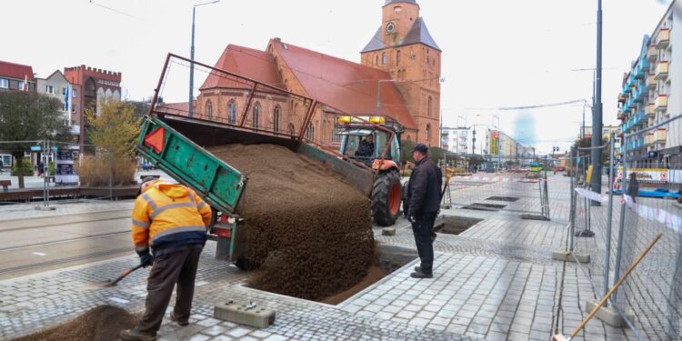 Trwa zazielenianie centrum Gorzowa