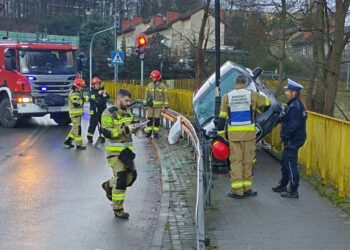 Auto wypadło z drogi na Owocowej