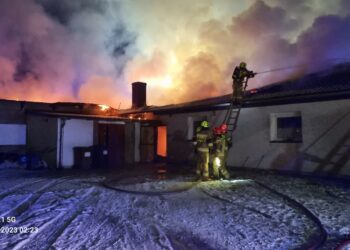 Duży pożar w Starym Polichnie. Spłonęło kilka tysięcy indyków