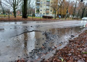 Fot. Tomasz Krawczyk