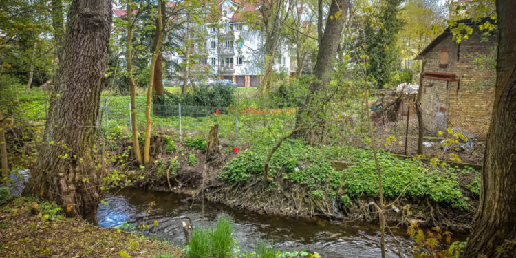 Ścieżka nad Kłodawką coraz bliżej