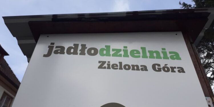 Co można zrobić z nadmiarem jedzenia po świętach?