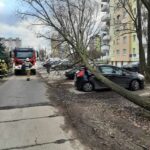 Fot: www.facebook.com/998klodawa