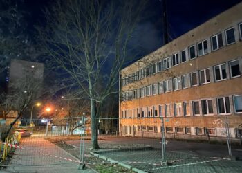 Powalone drzewa i pozrywane gałęzie. Skutki wichury w Lubuskiem