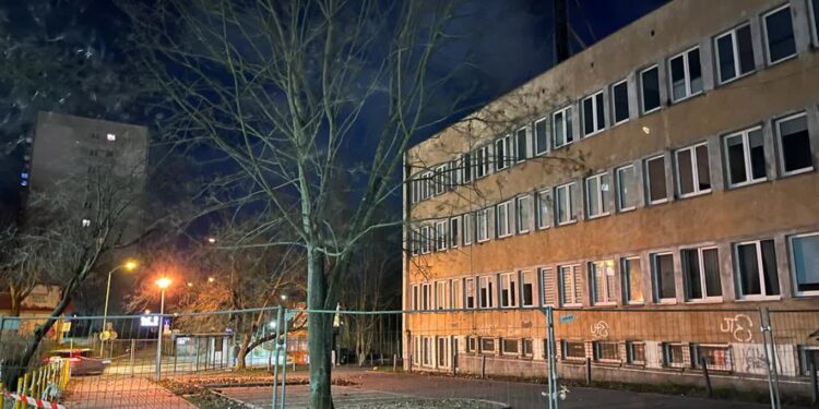 Powalone drzewa i pozrywane gałęzie. Skutki wichury w Lubuskiem