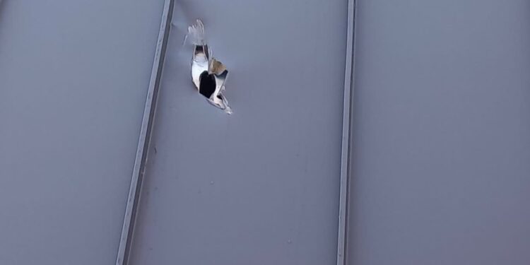 Drzewo uszkodziło elewację nowej hali