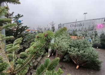 Fot. Tomasz Krawczyk