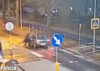 Potrącenie na przejściu. Policyjny film ku przestrodze