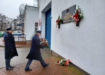 Fot. Tomasz Krawczyk