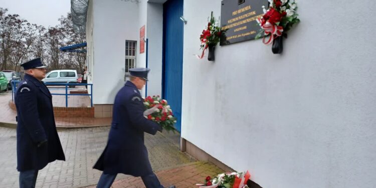 Fot. Tomasz Krawczyk