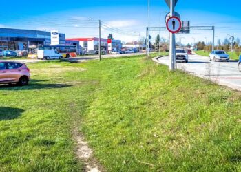 Fot. Ł. Kulczynski, UM Gorzów