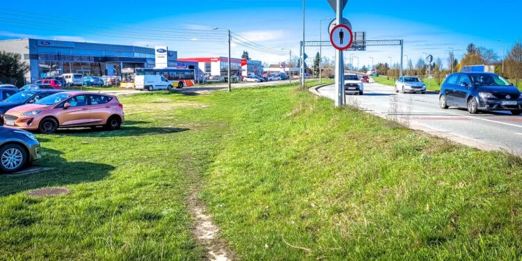 Fot. Ł. Kulczynski, UM Gorzów