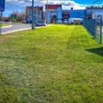 Fot. Ł. Kulczynski, UM Gorzów