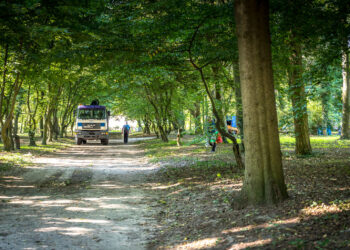 Jak chronić zieleń? Miasto przygotowało wytyczne dla firm