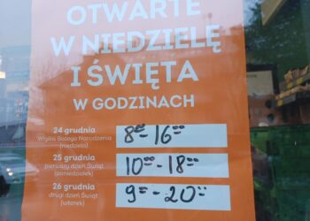 Fot. Tomasz Krawczyk