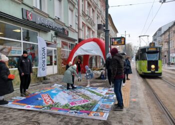 Fot. Tomasz Krawczyk