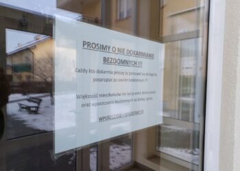 Fot. Tomasz Krawczyk